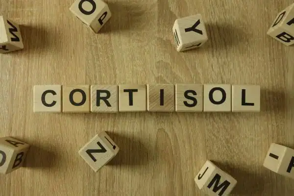 The Hidden Connection: How Stress Shapes Your Fitness and Body Composition 2 Image saying "Cortisol" and how stress Birmingham impacts your wellbeing and bodies shape